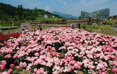 茨城県フラワーパークイメージ