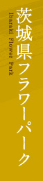 茨城県フラワーパーク