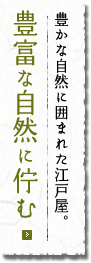 豊かな自然に囲まれた江戸屋。豊富な自然に佇む