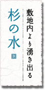 敷地内より湧き出る杉の水