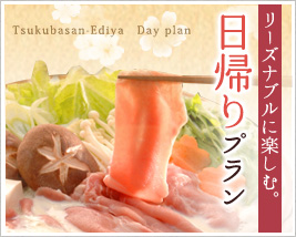リーズナブルに楽しむ。日帰りプラン