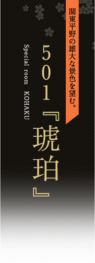 501『琥珀』