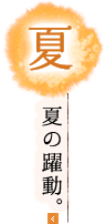 夏 夏の躍動。