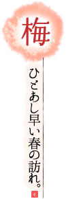 梅 ひとあし早い春の訪れ。