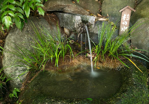 杉の水イメージ